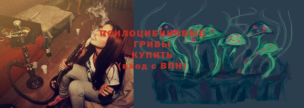 соль курить ск Алзамай